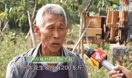 湛江最新农民爆料,揭秘湛江乡村发展新动态